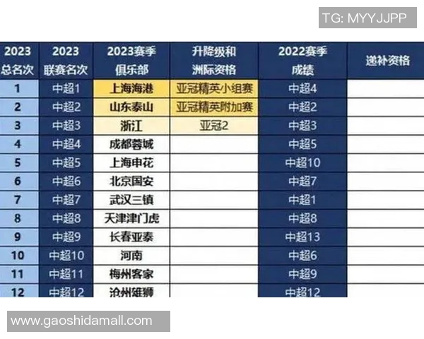 南京足球队现状揭秘：从训练到比赛的全景分析与展望
